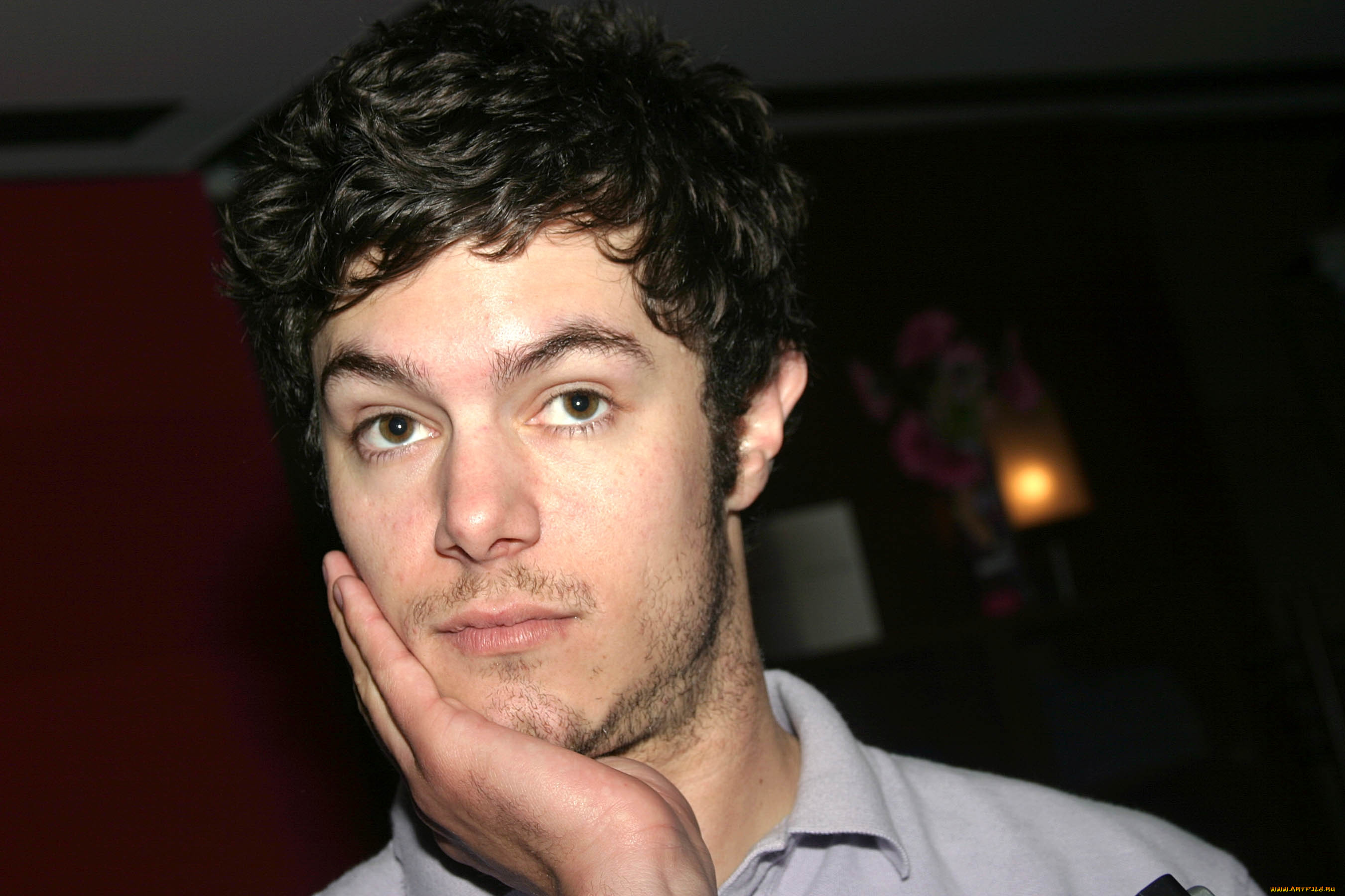 , adam brody, , 